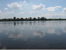 ���� ����)