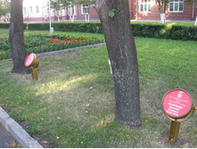 ������ ������ �� ����� �������� �������)