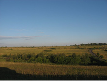 ����������� �������