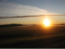 ����� 685.jpg