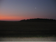 ����� 696.jpg