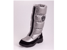 1546 �����������