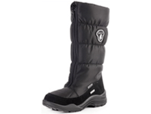 1546 ������ �������