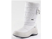 1550 �����