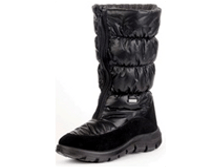 12264 ������