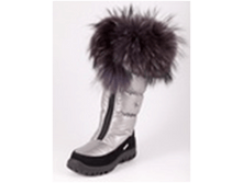 1658 �����������