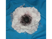 CIMG8110.JPG