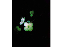 02.08.2011 10:05:08