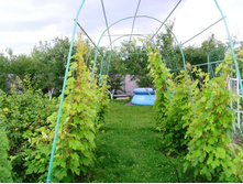 ���� � ����������.JPG