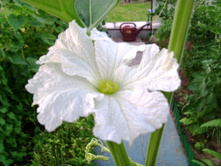 ��������� ������.JPG