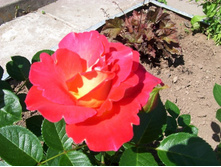 ������� � ��������.JPG