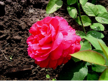 ��. ������..JPG