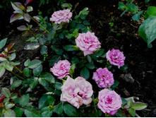 ���������� �� �����.JPG