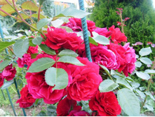 ��������� ��������