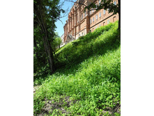 ���. ����� ������