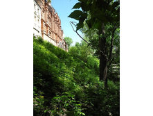 ���. ����� �����