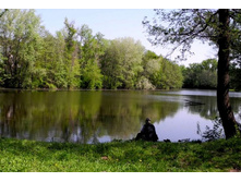 �����. �������