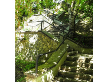 �������. ��������