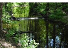 ������� 1