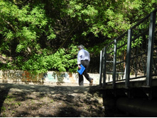 ������ �� �������