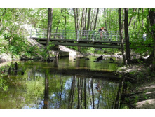 �������. ���������.