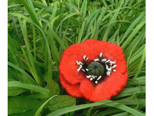 ����� ���