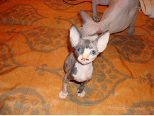 ����� (2).JPG