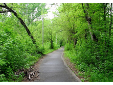 �������-1