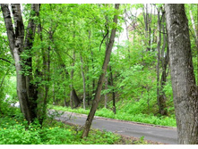 ����� ��������� ������