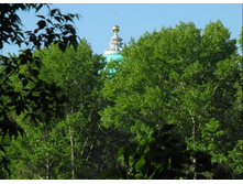 ����� �. ������ ��������