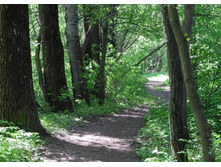 �������-2