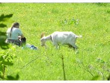 ����������