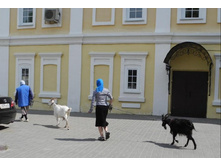 ���� ����