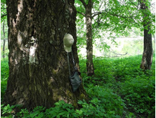 �������-4