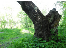 �������-5