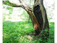 �������-6