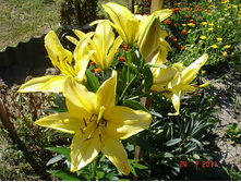 ����������� 232.jpg