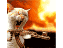 ������ ���