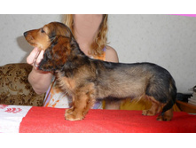 P1150562 - �����.JPG