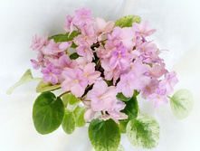 23-���� ������.JPG