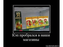 1267985344_32830_kep-probralsya-v-nashi-magazinyi.jpg
