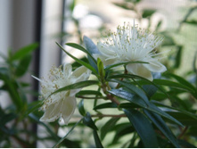  � ����� ����