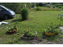 ������ � �����������