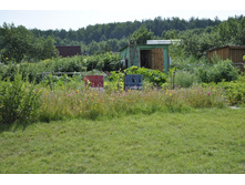 ����� ������� � �������