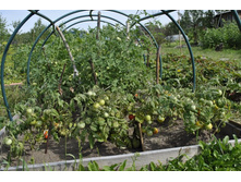 ���������!!! ������ ������