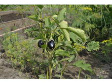 ������������ �� �����