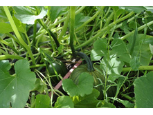 �����! ������ �� ���� ������ ����� ��������. ����������� ���� ������, �� ��������� �������