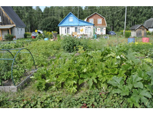 ������� � �����