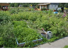 �������� � ����������