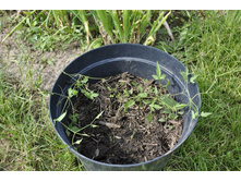 �������� ��������� �� �������